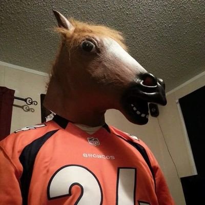 Hard core Denver Broncos fan. self proclaimed foodie. expect weird random tweets