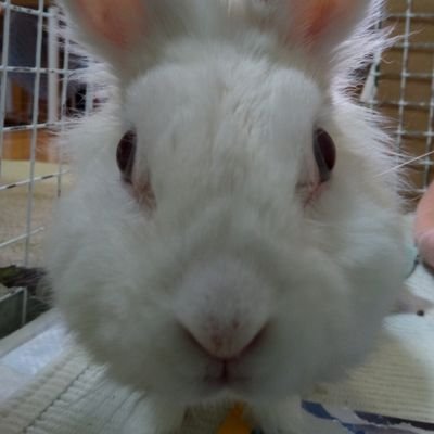 QbHQiZj29UiWuho's profile picture. 宇佐儀様の写真撮影が好きな山形人です