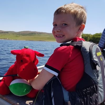 ShionHughes's profile picture. 