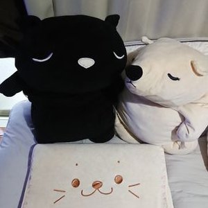 可愛いアヒル の天災情報 Qlyezdmardjp28l Twitter