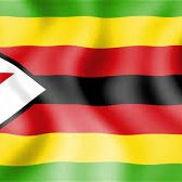 Tendisai Chigwedere (@tchig18) 's Twitter Profile