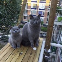 ㅁ (@perfektionierer) 's Twitter Profile Photo ㅁ (@perfektionierer) 's Twitter Profile Photo
