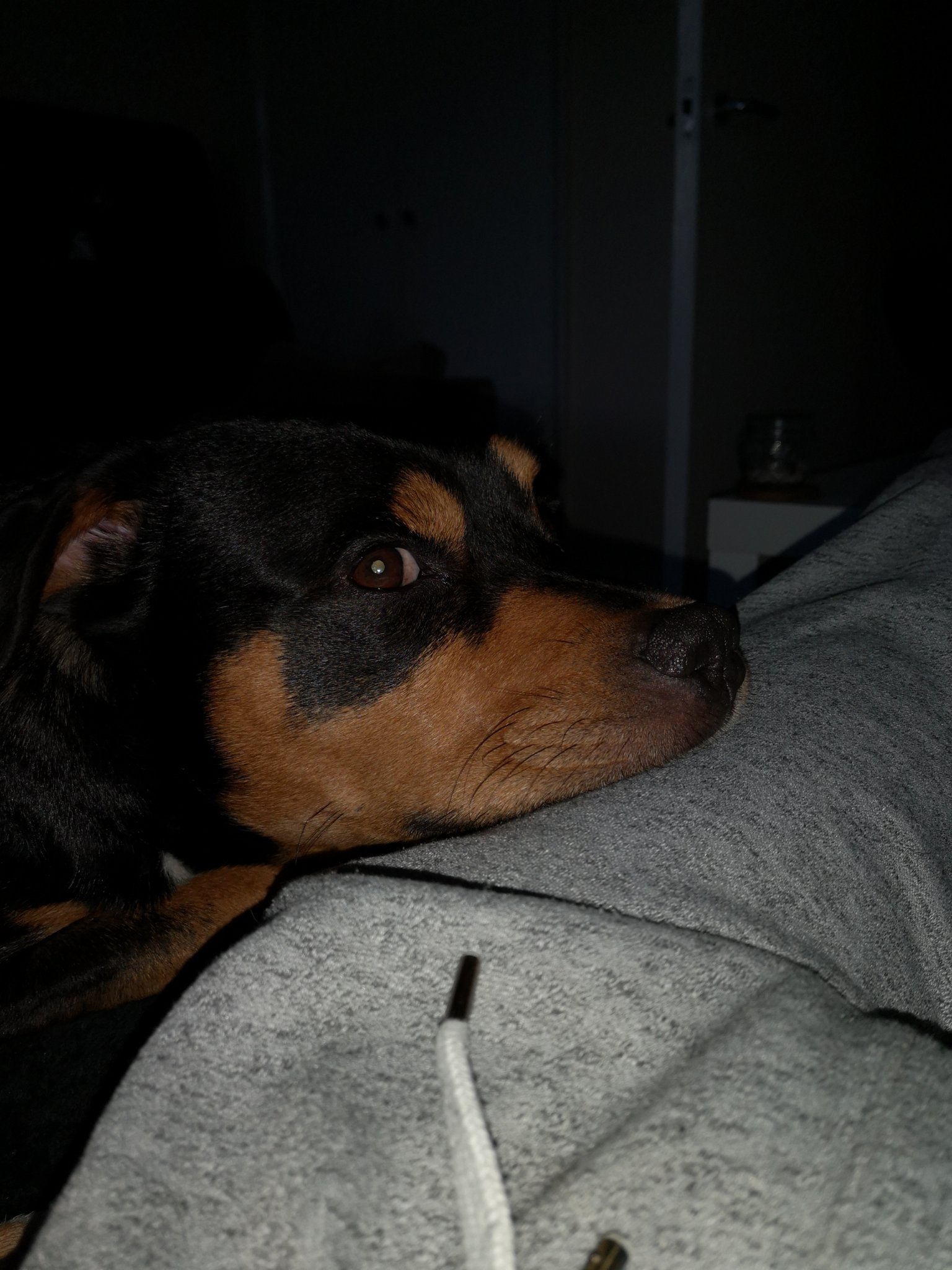 robrae1992's profile picture. 