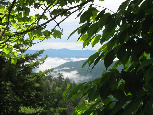 I love hiking. Appalachian trails!