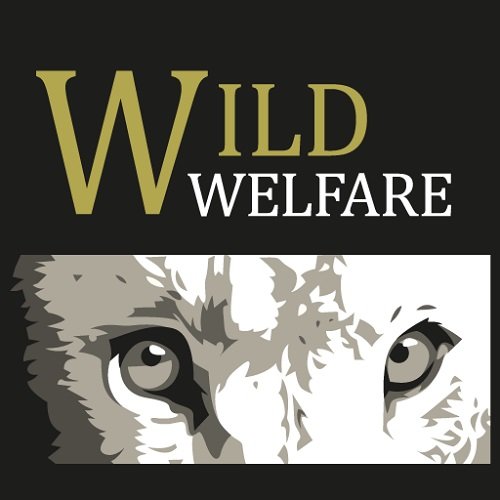 WildWelfare Profile Picture