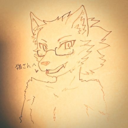猫さんさんのプロフィール画像