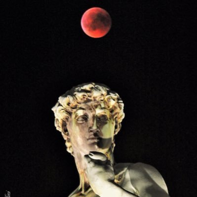 Rosy31234774's profile picture. 