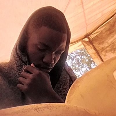 thekkingoflions's profile picture. OK  or No