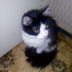 Nikol Vasileva Niki Twitter