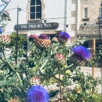 The Priory Inn (@theprioryinn) 's Twitter Profile