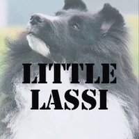 LITTLE LASSI リトルラッシー(@LITTLELASSI) 's Twitter Profile Photo