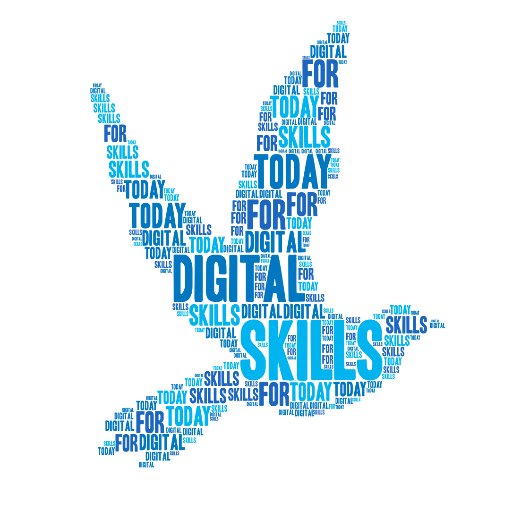 Digital Skills for Today Profile
