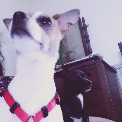 Cynthia42796368's profile picture. 19 ans et je ne sais toujours pas quoi faire de ma vie 🙄🤨