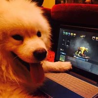 Kira (@0xkira233) 's Twitter Profile