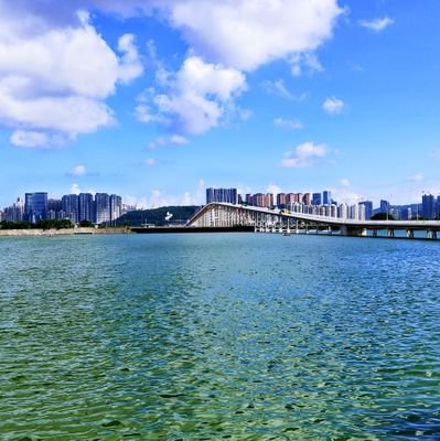 Seeya008's profile picture. 人生没有过错，只有错过！