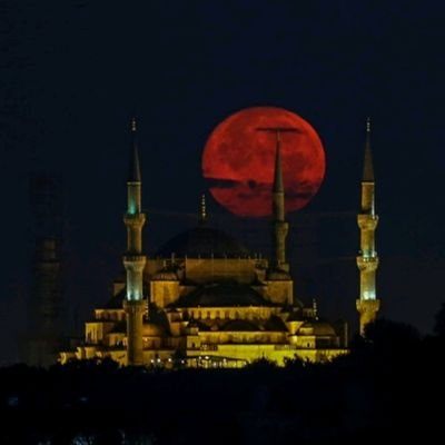 Allah intikamını kul eliylen alır.
İlmiledün ilmini bilmeyenler
Bunu kul yaptı sanır