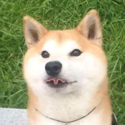 iKobc4dgsB4Oj9M's profile picture. 