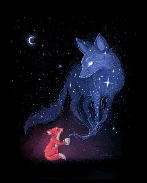 Lover of foxes. Writer of life. Reveling daily beneath the stars.