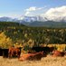 Blue Rock Animal Nutrition (@bluerockmineral) Twitter profile photo Blue Rock Animal Nutrition (@bluerockmineral) Twitter profile photo