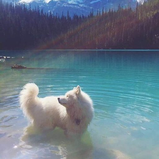 bruhmomentxyz's profile picture. 