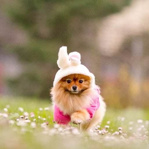 p_denis_a's profile picture. 