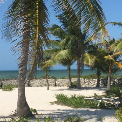 carlosvargasv's profile picture. 