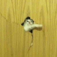 UsHadrons (@ushadrons) 's Twitter Profile Photo UsHadrons (@ushadrons) 's Twitter Profile Photo