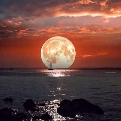 Drakkar_Ccs's profile picture. 