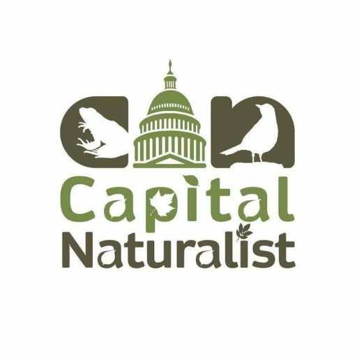 Award winning naturalist, storyteller, and environmental educator Alonso Abugattas
(the Capital Naturalist) shares his insights, on the natural world.