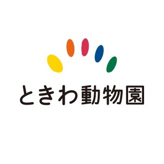 tokiwazoo Profile Picture