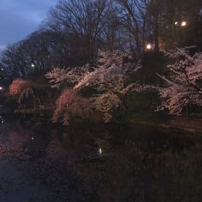 YEGTD's profile picture. 