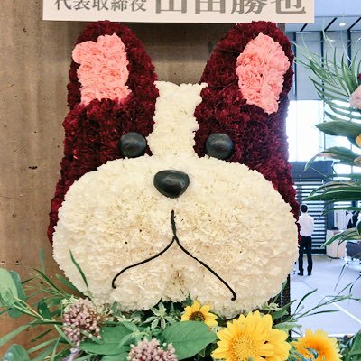 pgbsmb's profile picture. 