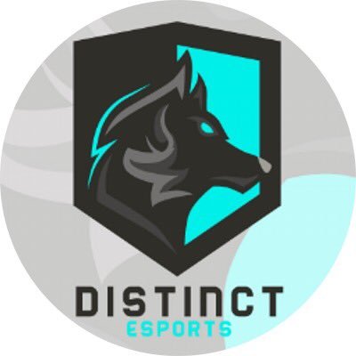 Call of Duty eSports Team | Roster:                              Business Inquires : DM