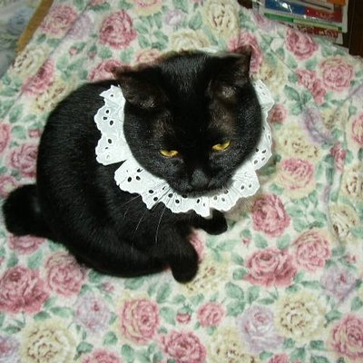 suika (@suika75014422) / Posts / X