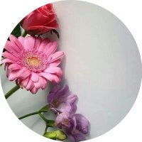 (فاطمة)لأجلك والدي❤ (@m_h_a22) 's Twitter Profile