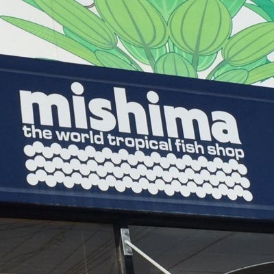 富山県高岡市のアクアリウムショップです。熱帯魚、特にキンペコが好きで繁殖も楽しんでいます。熱帯植物が大好きで各種取り扱っています!ブログもぜひご覧くださいね。 open10:00/close19:30 月曜定休
