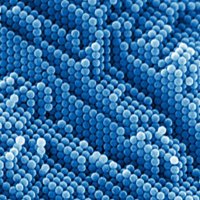 NanoChemLab (@chemnano) 's Twitter Profile Photo NanoChemLab (@chemnano) 's Twitter Profile Photo