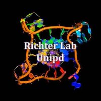 RichterLab Unipd (@richterlabunipd) 's Twitter Profile Photo RichterLab Unipd (@richterlabunipd) 's Twitter Profile Photo