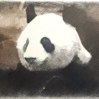 k.norifumi (@akinorrirshixia) 's Twitter Profile Photo k.norifumi (@akinorrirshixia) 's Twitter Profile Photo