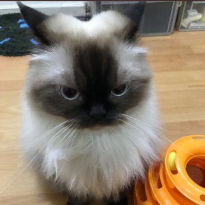 _deluxeversion's profile picture. dope!