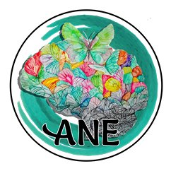 We aim to raise awareness, provide information & support families with #AcuteNecrotizingEncephalopathy ANE is typically triggered by #Influenza & other viruses.