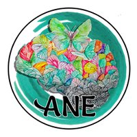 ANE International(@aneinternationa) 's Twitter Profile Photo