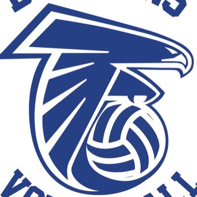 DHS Volleyball Profile