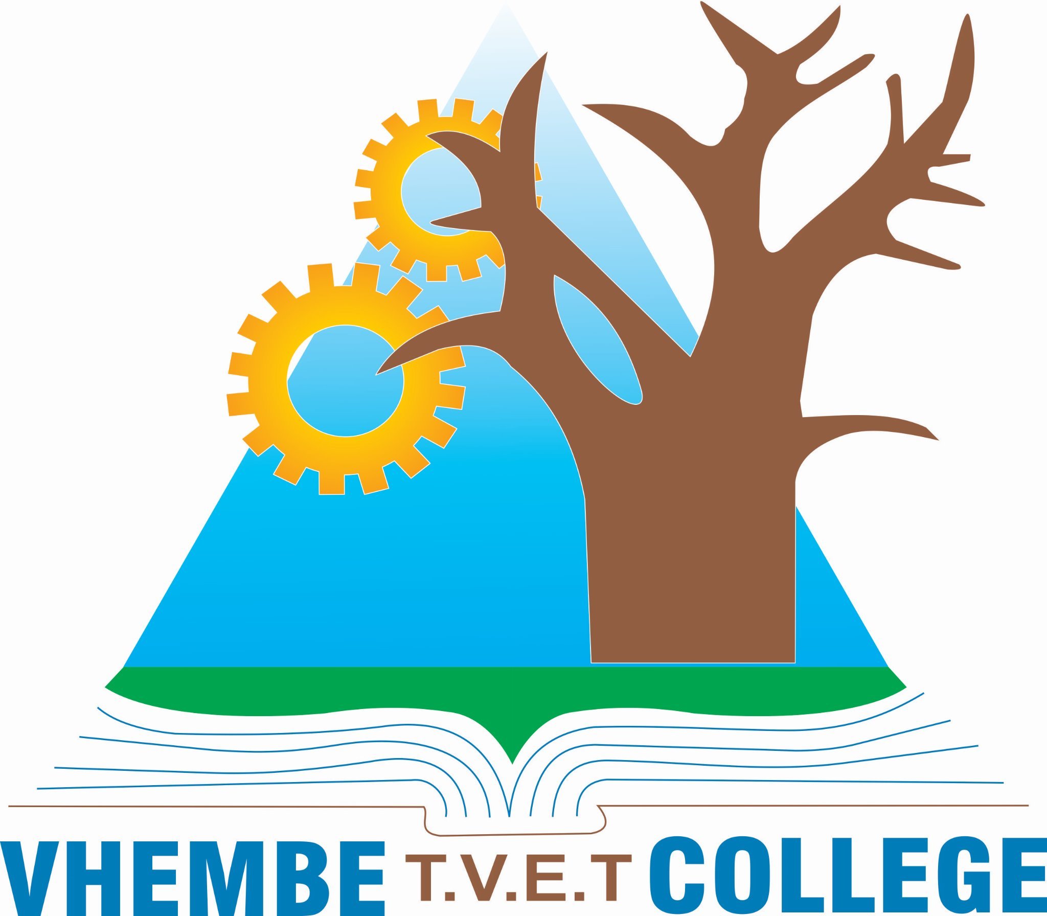 VhembeTVETCol Profile Picture