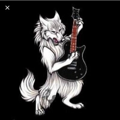 palazzorock's profile picture. Rock sudamericano