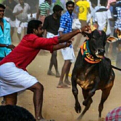 வீரம் என்பது நெஞ்சை நிமிர்த்தி பேசிக்கொண்டிருப்பதல்ல செயல்படுத்தி விட்டு போய்க்கொண்டே இருப்பது. 🐅