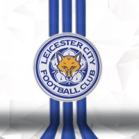 fearlessfoxes(@fearlessfoxes_) 's Twitter Profile Photo