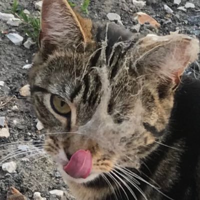 DtwoBbro's profile picture. 