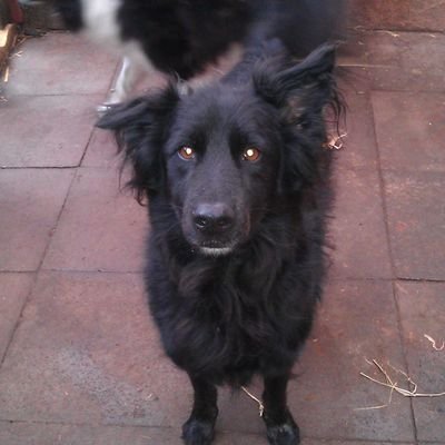 dyliss1's profile picture. 