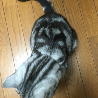 むろびと